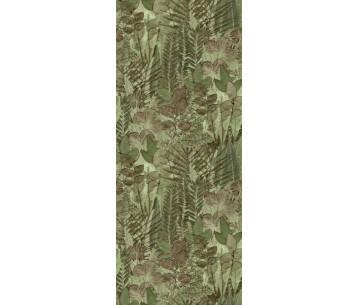 Fototapeet Herbarium HED27295