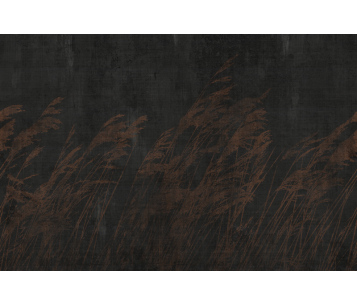 Fototapeet Paddy LWI1002A