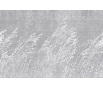 Fototapeet Paddy LWI1002B