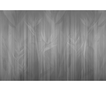 Fototapeet Sheer LWI1007D