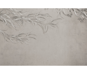 Fototapeet Willow LWI1014A2