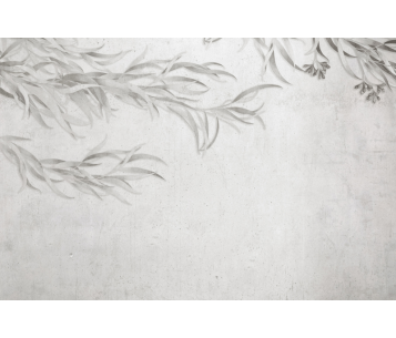 Fototapeet Willow LWI1014B2