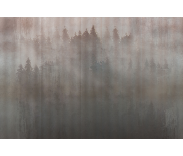 Fototapeet Foggy LWI1017B