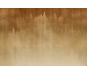 Fototapeet Foggy LWI1017C