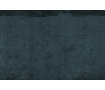 Fototapeet Ink LWI1022C2