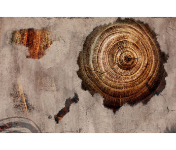 Fototapeet Woods LWI1036A