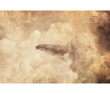 Fototapeet Dream LWI1039B