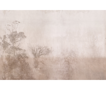 Fototapeet Beach LWI1042A1