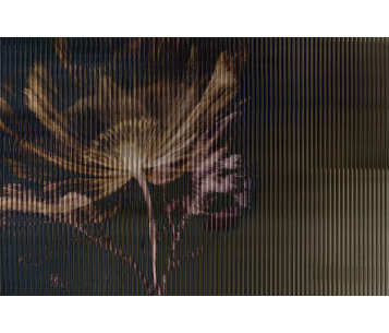 Fototapeet Hope LWI1043B