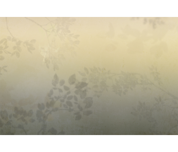 Fototapeet Matinal LWI1048B