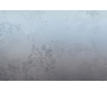 Fototapeet Matinal LWI1048C