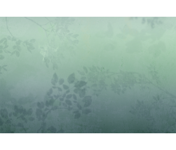 Fototapeet Matinal LWI1048D