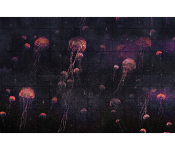 Fototapeet Jelly LWI1051C