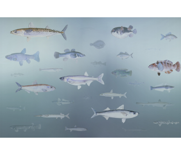 Fototapeet Shoal LWI1056B