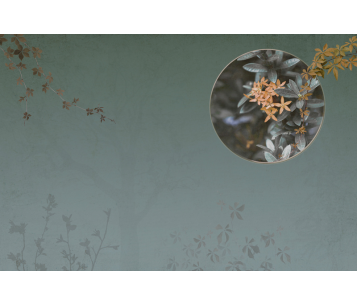 Fototapeet Moon LWI1070B