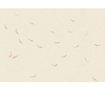 Fototapeet Hav S10354