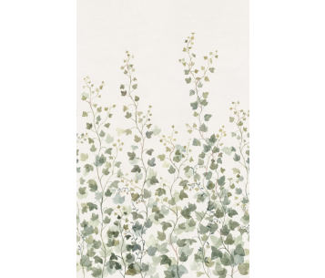 Fototapeet Ivy S10484
