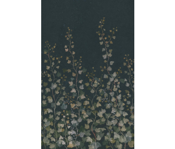 Fototapeet Ivy S10486