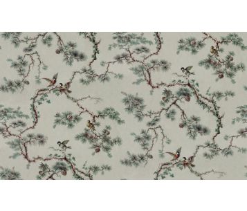 Fototapeet Noah S10573