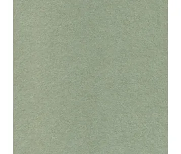 Akustiline seinakatte Walt Cameo 606