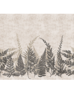 Fototapeet Fern HED27292