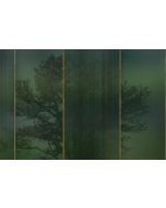 Fototapeet Glass LWI1012A2