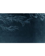 Fototapeet Willow LWI1014C2