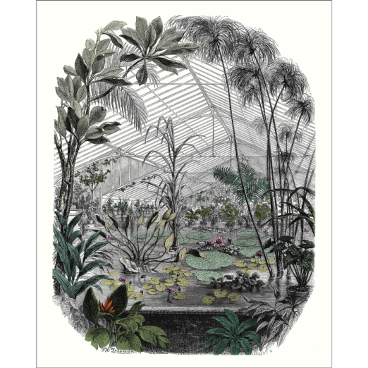 Fototapeet Jardin D´Hiver BFM 102397070