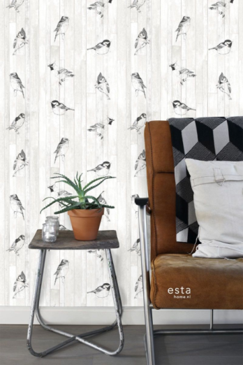 Greenhouse 143-128834