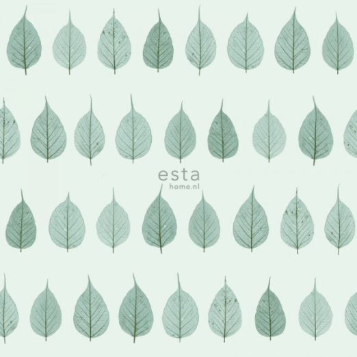 Greenhouse 143-128848