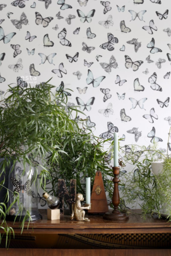 Greenhouse 143-138875