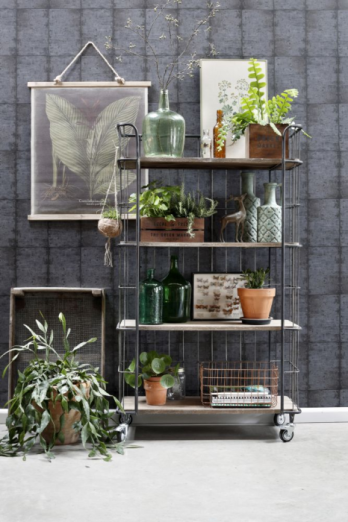 Greenhouse 143-138880