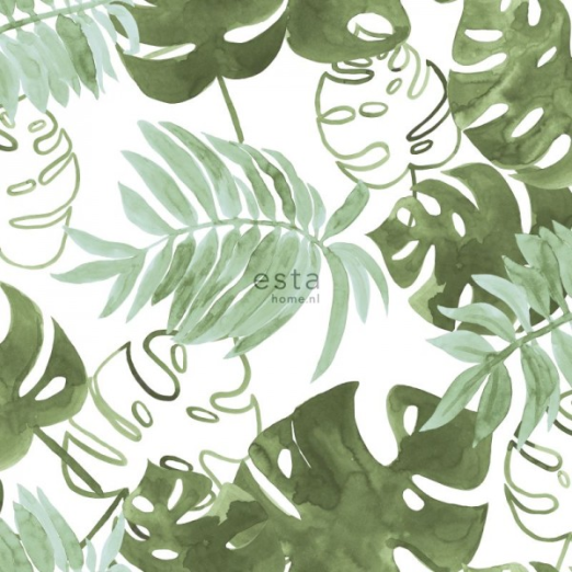 Greenhouse 143-138888