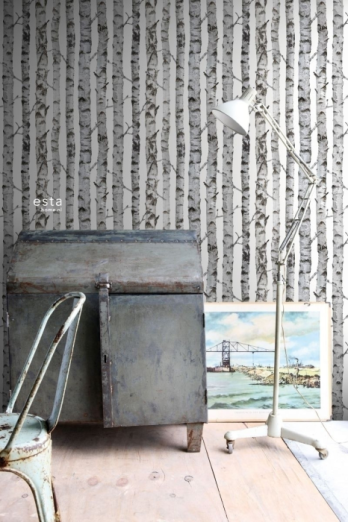 Greenhouse 143-138889