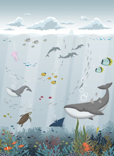 Fototapeet Cousteau 151-2