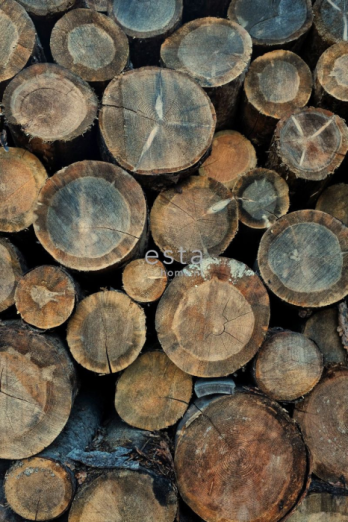 Fototapeet XL Wood Logs 158206