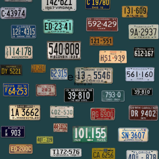 Tapeet XXL Vintage License Plates 158502