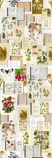 Fototapeet  XL Botanical 158508