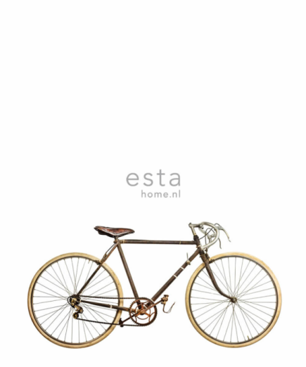 Fototapeet XL Old Bicycle 158807