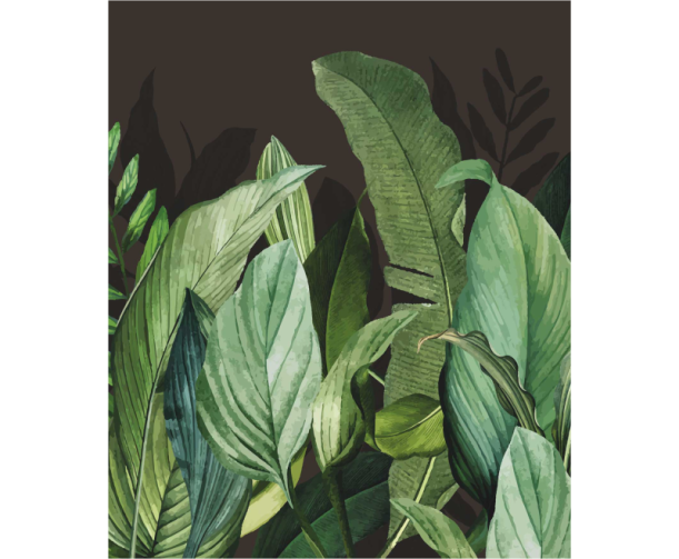 Fototapeet Tropical Forest 18002