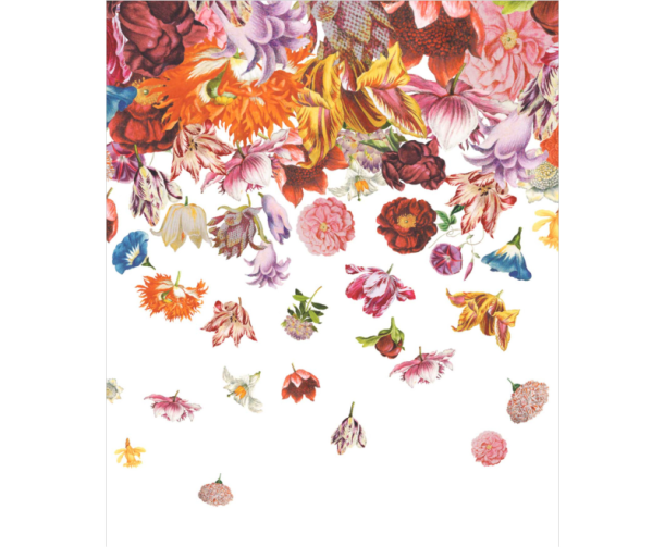 Fototapeet Flower Rain 18003