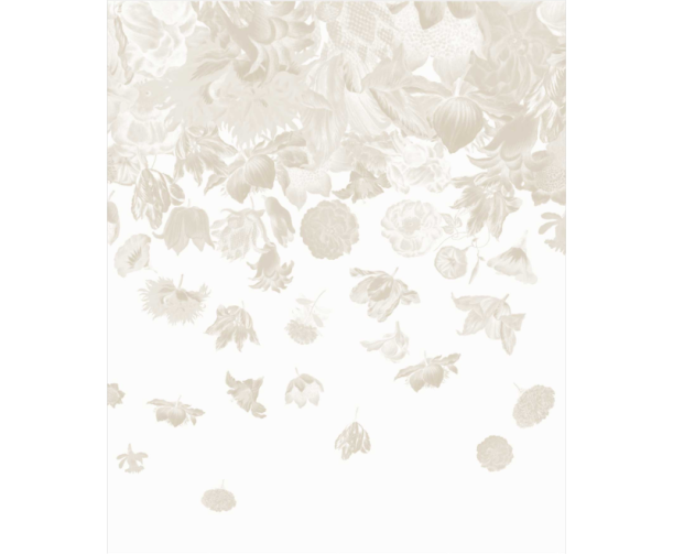 Fototapeet Flower Rain 18004