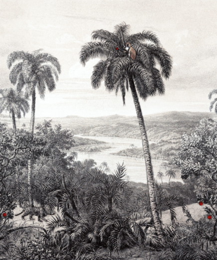 Fototapeet Zanzibar Leopard 290324