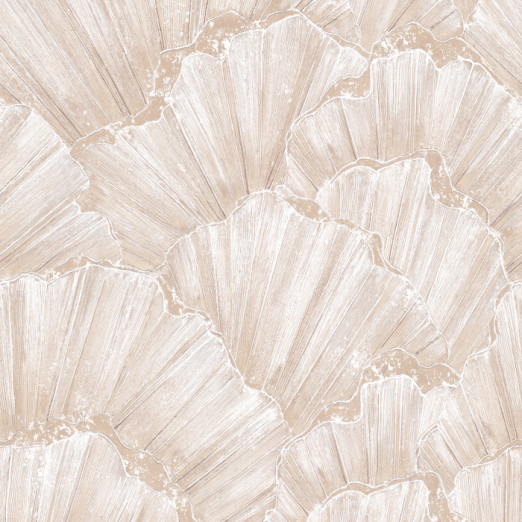 Fototapeet Tridacna 300979/300894