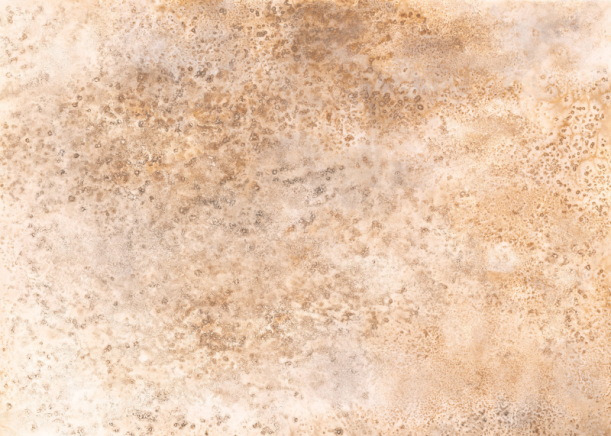 Fototapeet Coral Stone 301105/300948