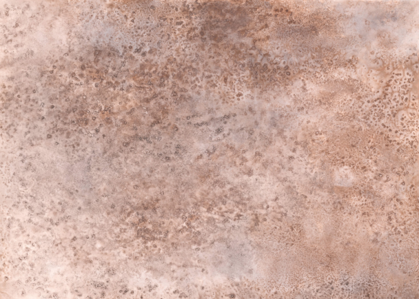 Fototapeet Coral Stone 301112/300955