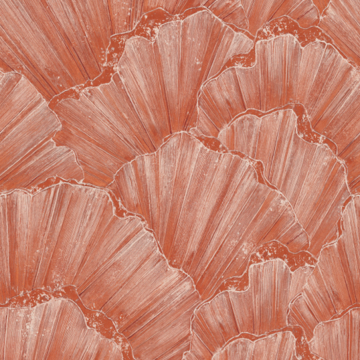 Fototapeet Tridacna 301129/301136