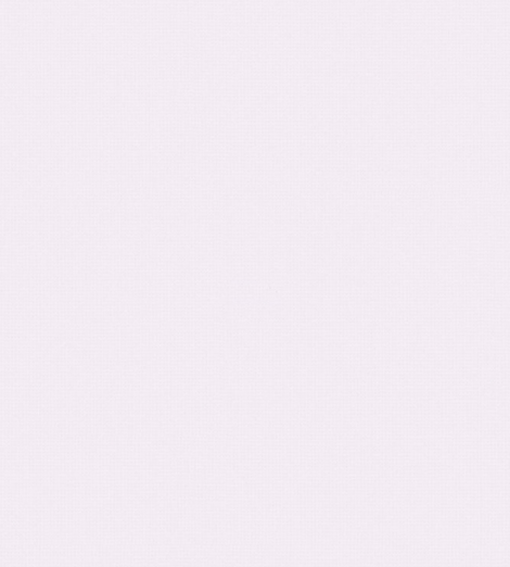 Hide&amp;Seek 347-347479