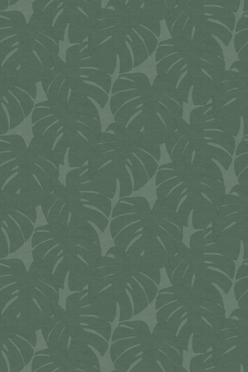 Fototapeet XL Monstera Leaves 357228