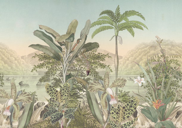 Fototapeet Treasures of Nature TD4250